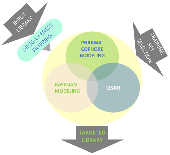 Design flowchart of ligand-based focused libraries