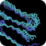 Molecular Modeling and Lead Discovery