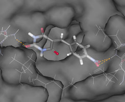 Ligand in ER active site