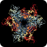 SARS-CoV-2 Endoribonuclease (NSP15) Targeted Library